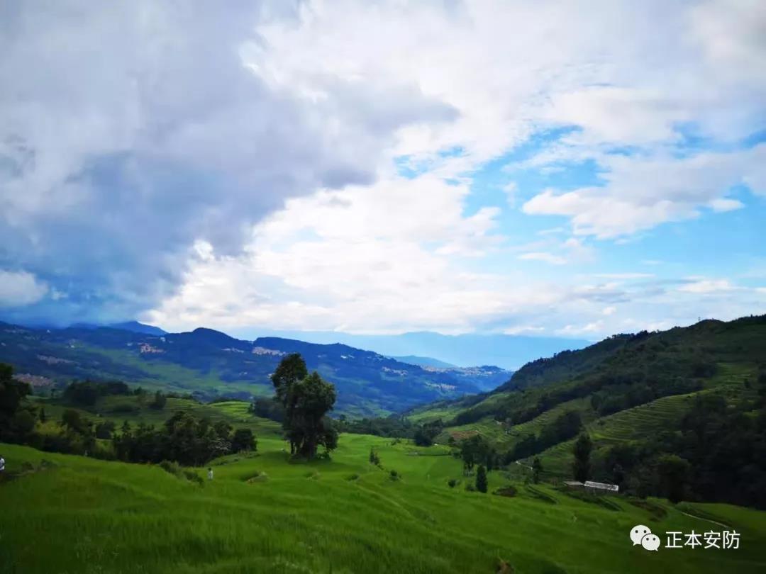 15650578461796.jpg 8.jpg