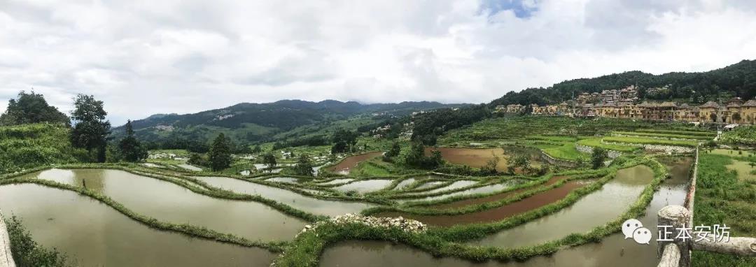 15650578685733.jpg 10.jpg