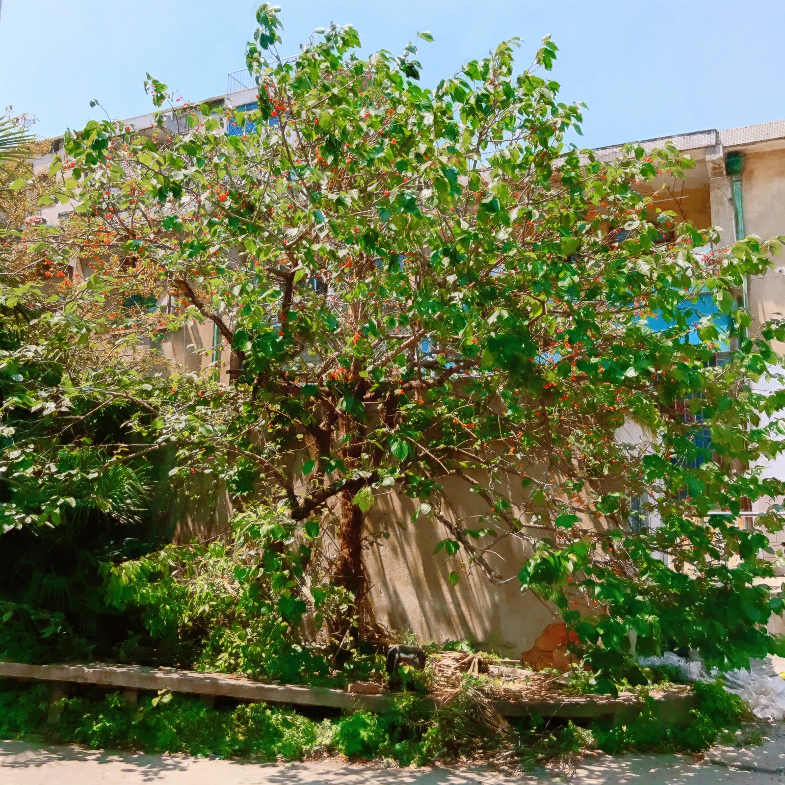 15882124516900.jpg 微信圖片_20200428131407.jpg