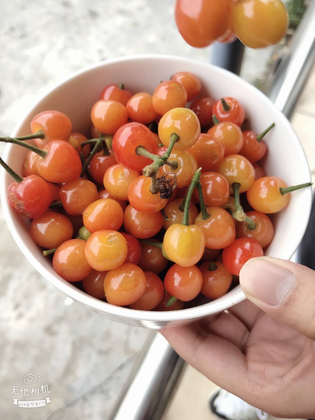 15882125453412.jpg 3.jpg